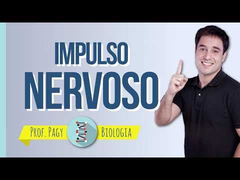 Thumbnail da aula: Impulso nervoso - prof. Pagy - Biologia