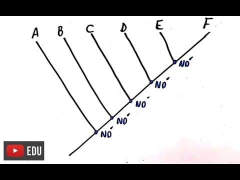 Thumbnail da aula: Sistemática Filogenética - Resumo Professor Gustavo