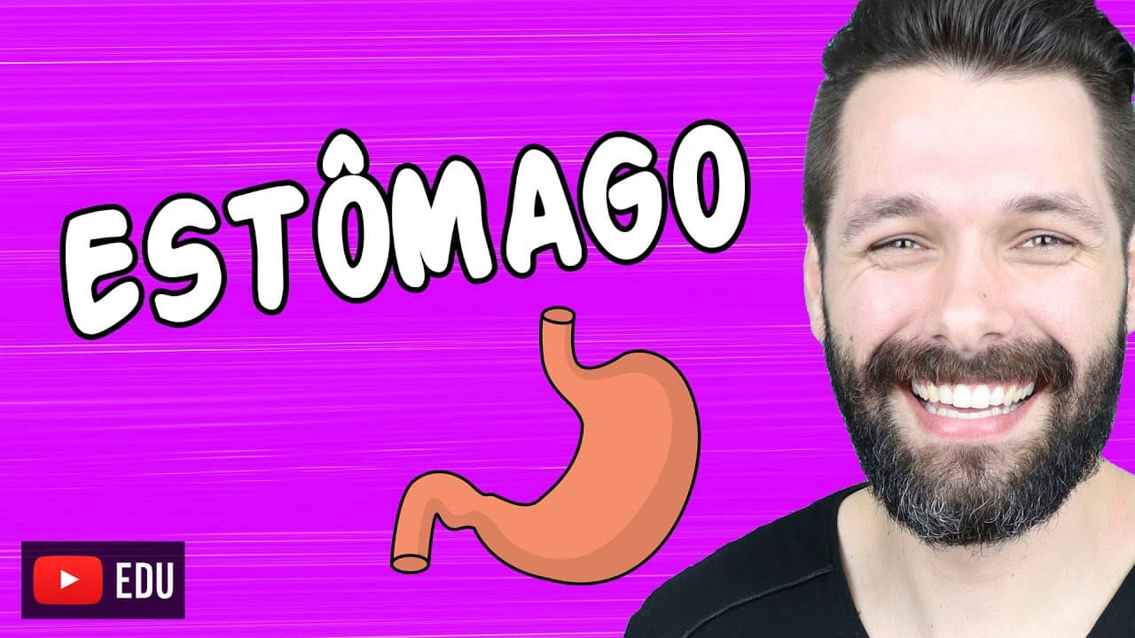 Thumbnail: ESTÔMAGO - Anatomia e Funções - Sistema Digestório | Biologia com Samuel Cunha