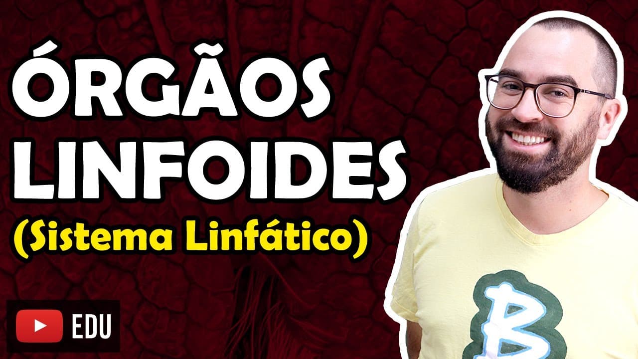 Thumbnail: Órgãos linfoides (Sistema Linfático) - Aula 27 - Módulo VII: Histologia e Fisiologia Humana
