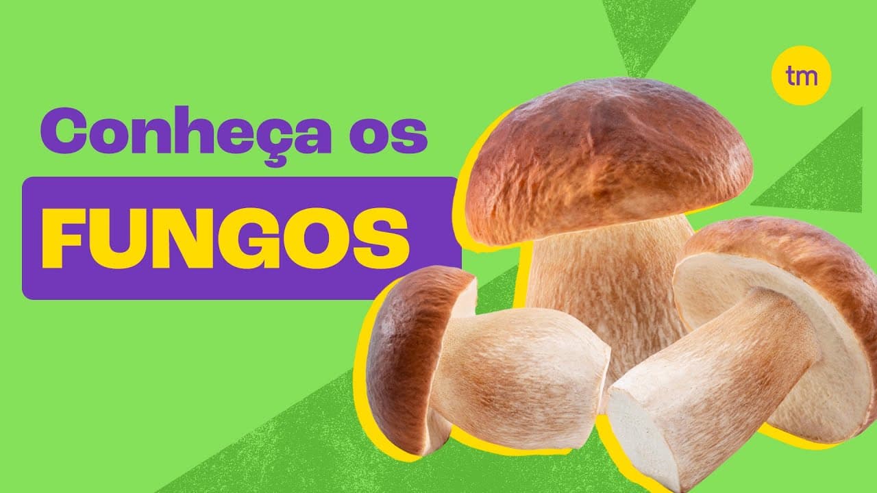 Thumbnail: Conheça o REINO FUNGI | Resumo