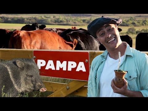 Thumbnail da aula: Pampa | Biomas do Brasil | Ep.4