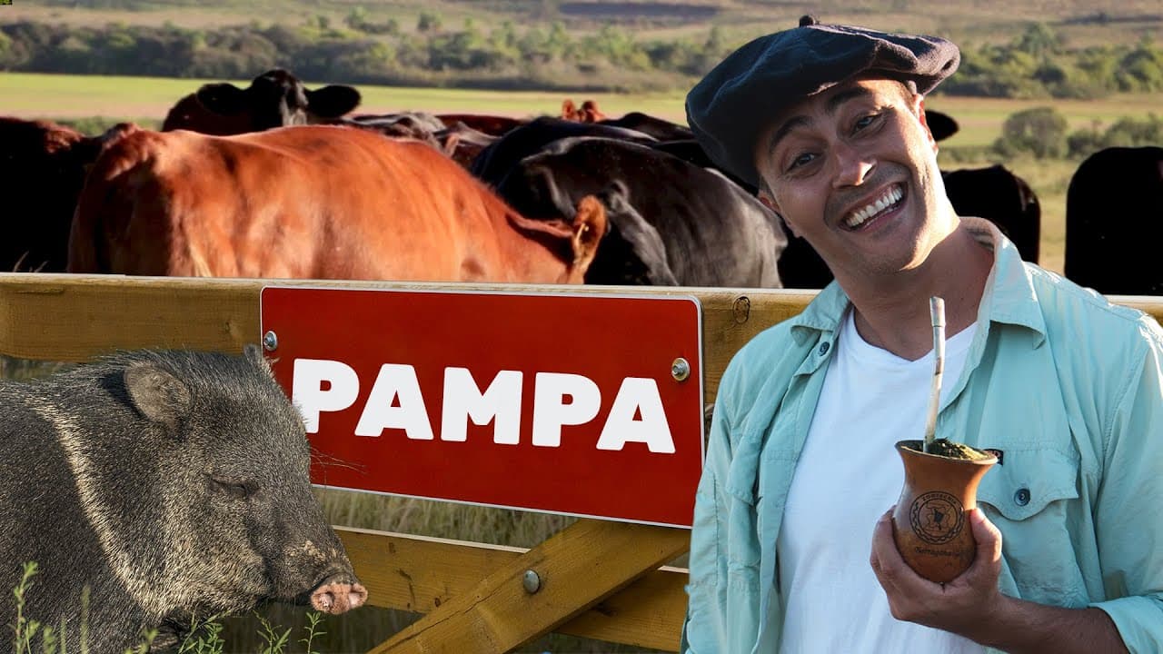 Thumbnail: Pampa | Biomas do Brasil | Ep.4