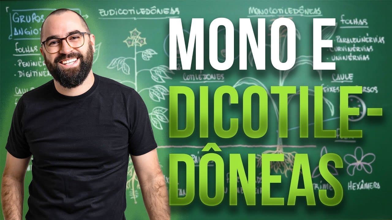Thumbnail: Monocotiledôneas e Eudicotiledôneas - Aula 06 - Módulo 5: Botânica
