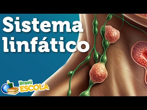 Thumbnail da aula: Sistema linfático - Brasil Escola