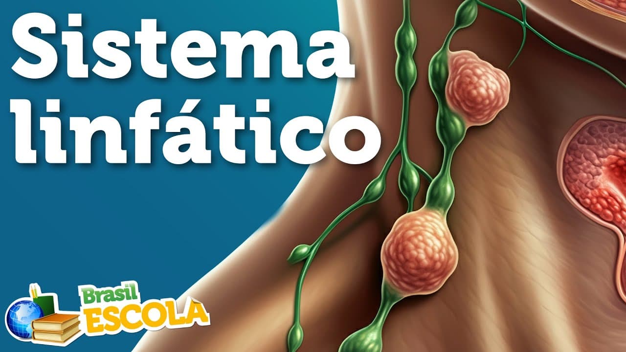 Thumbnail: Sistema linfático - Brasil Escola