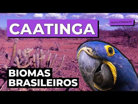 Thumbnail da aula: BIOMAS BRASILEIROS: Caatinga | Biologia para o Enem e o Encceja | Cláudia de Souza Aguiar