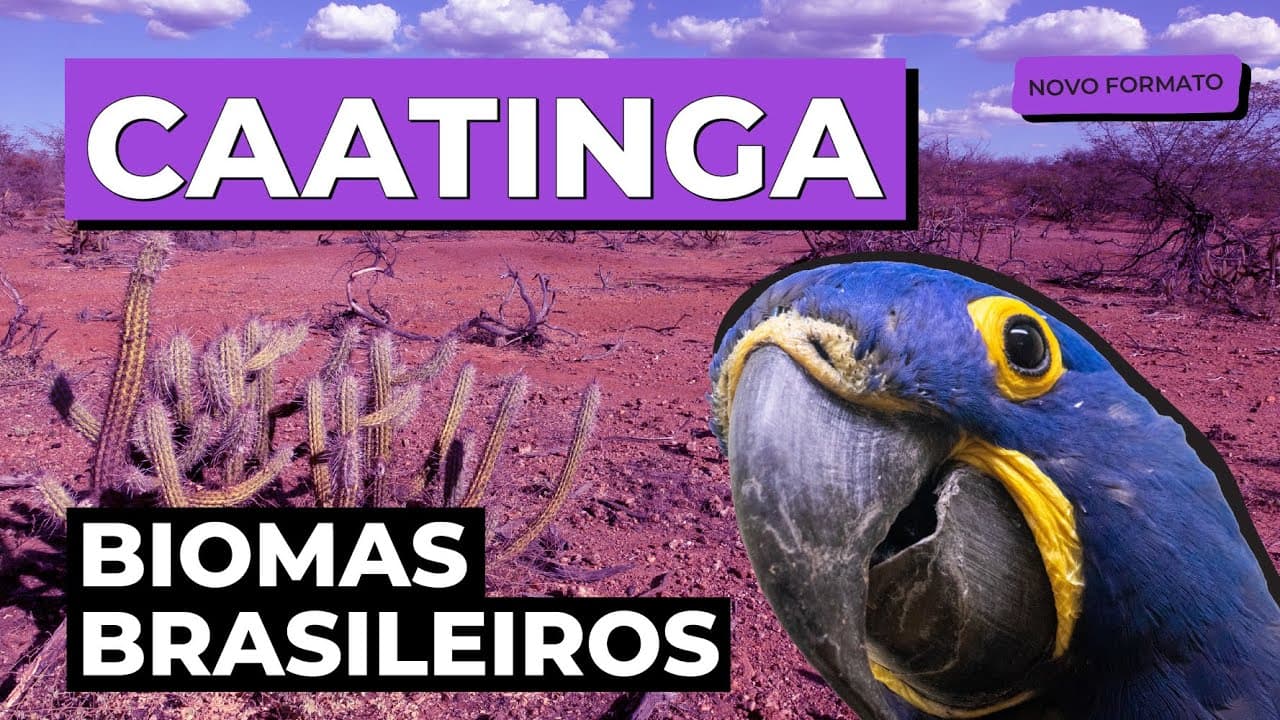 Thumbnail: BIOMAS BRASILEIROS: Caatinga | Biologia para o Enem e o Encceja | Cláudia de Souza Aguiar