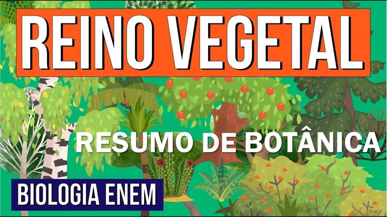 Thumbnail: REINO PLANTAE E SUAS CARACTERÍSTICAS | Resumo de Biologia Enem: O Reino Vegetal. Prof Claudia Aguiar