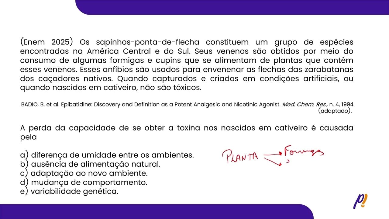 Thumbnail: ENEM 2025 | Os sapinhos-ponta-de-flecha constituem um grupo de espécies encontradas na...