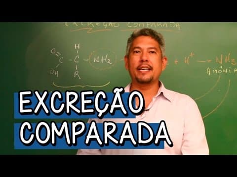 Thumbnail da aula: O que é Excreção Comparada? - Extensivo Biologia | Descomplica