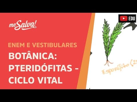 Thumbnail da aula: Me Salva! BOT06 - Botânica - Pteridófitas: ciclo vital