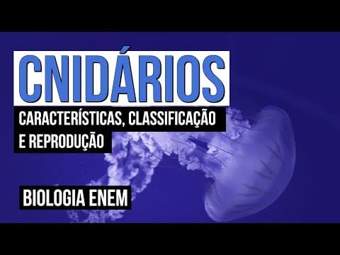 Thumbnail da aula: CNIDÁRIOS: características, classificação e reprodução | Biologia para o Enem | Cláudia Souza Aguiar