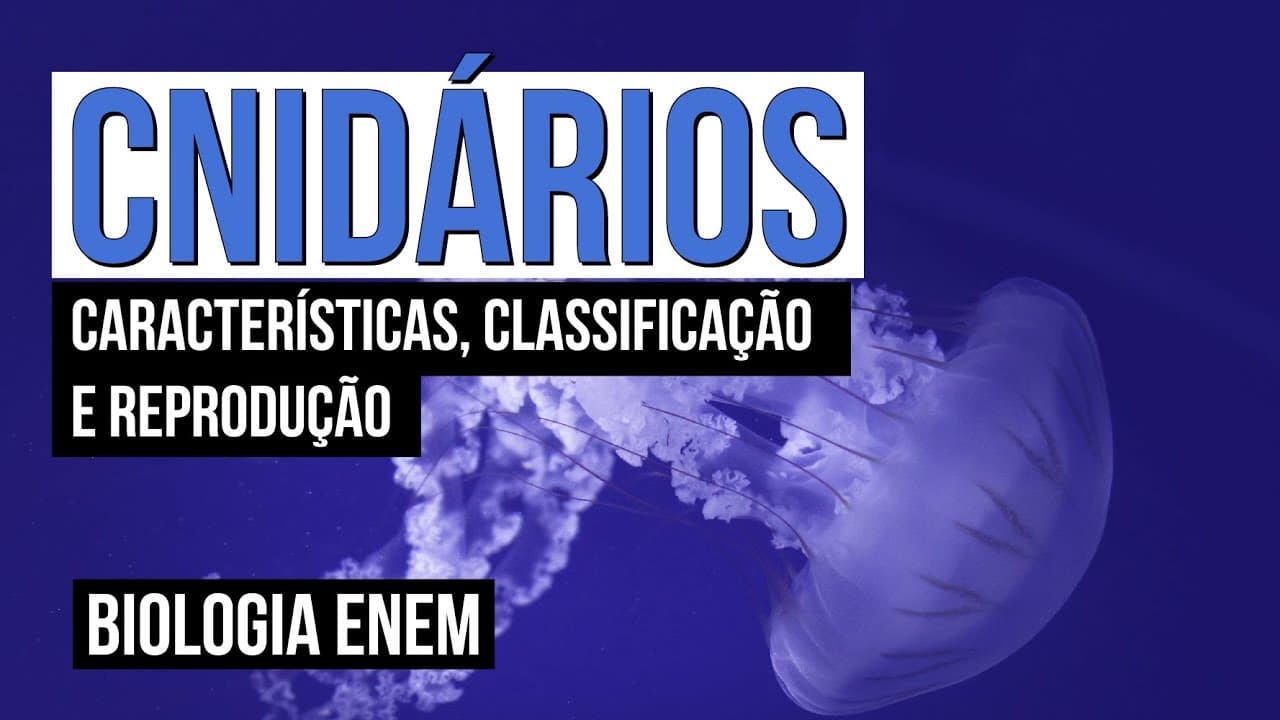 Thumbnail: CNIDÁRIOS: características, classificação e reprodução | Biologia para o Enem | Cláudia Souza Aguiar