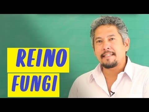Thumbnail da aula: INTRODUÇÃO: CARACTERÍSTICAS DO REINO FUNGI | Extensivo Biologia | Descomplica