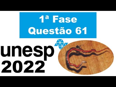Thumbnail da aula: (Unesp 2022) As aranhas comem cobras pelo mundo inteiro, revela estudo surpreendente