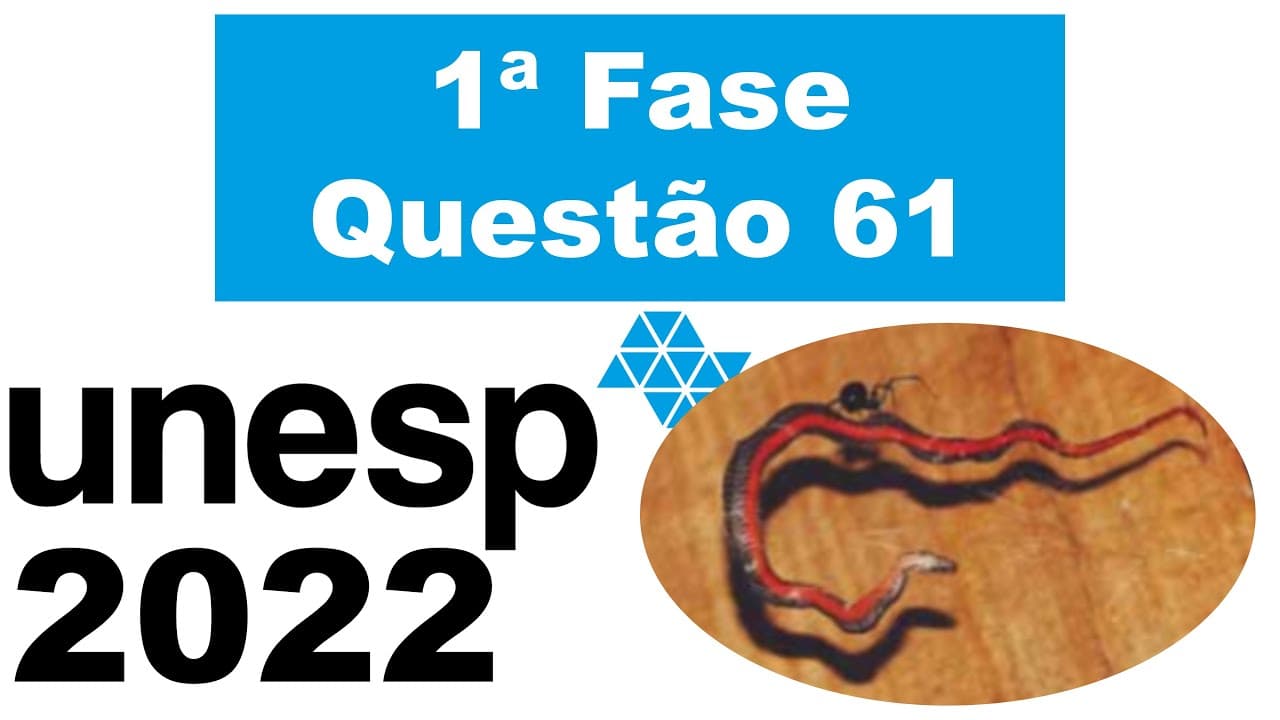 Thumbnail: (Unesp 2022) As aranhas comem cobras pelo mundo inteiro, revela estudo surpreendente