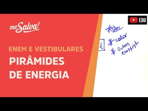 Thumbnail da aula: Me Salva! ECO17 - Ecologia - Pirâmides de energia