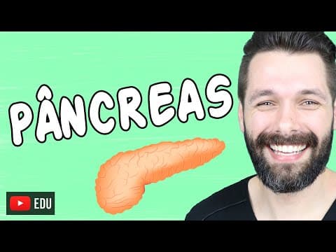 Thumbnail da aula: PÂNCREAS - Anatomia e Funções - Sistema endócrino e digestório | Biologia com Samuel Cunha