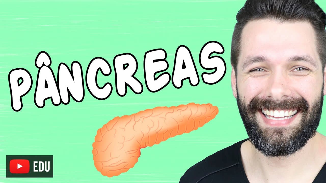 Thumbnail: PÂNCREAS - Anatomia e Funções - Sistema endócrino e digestório | Biologia com Samuel Cunha