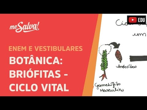 Thumbnail da aula: Me Salva! BOT04 - Botânica - Briofitas: ciclo vital