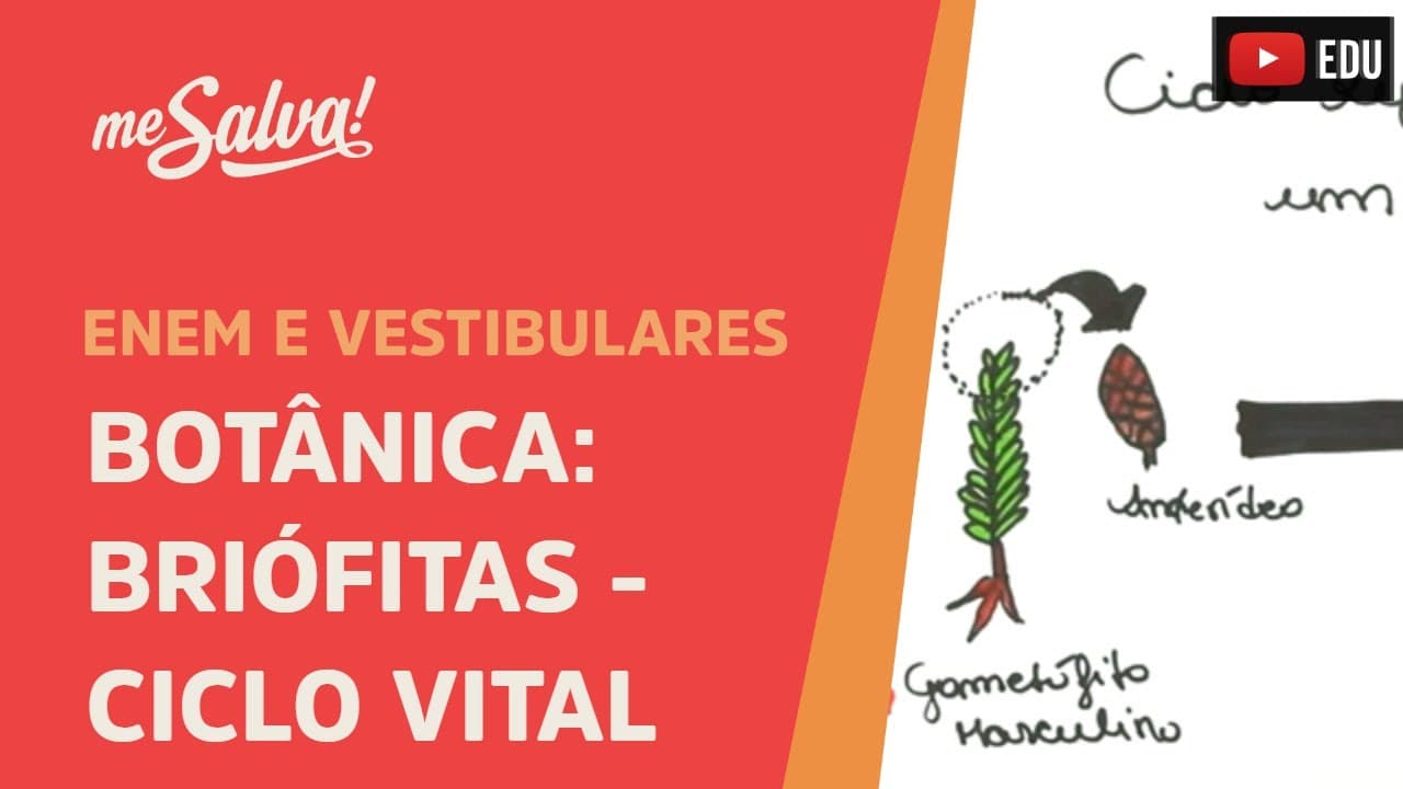 Thumbnail: Me Salva! BOT04 - Botânica - Briofitas: ciclo vital