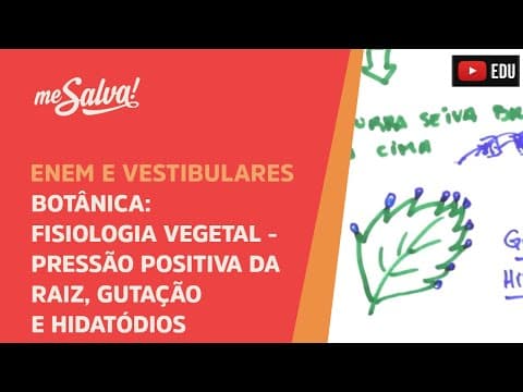 Thumbnail da aula: Me Salva! BOT26 - Botânica - Fisiologia vegetal: pressão positiva da raiz, gutação e hidatódios