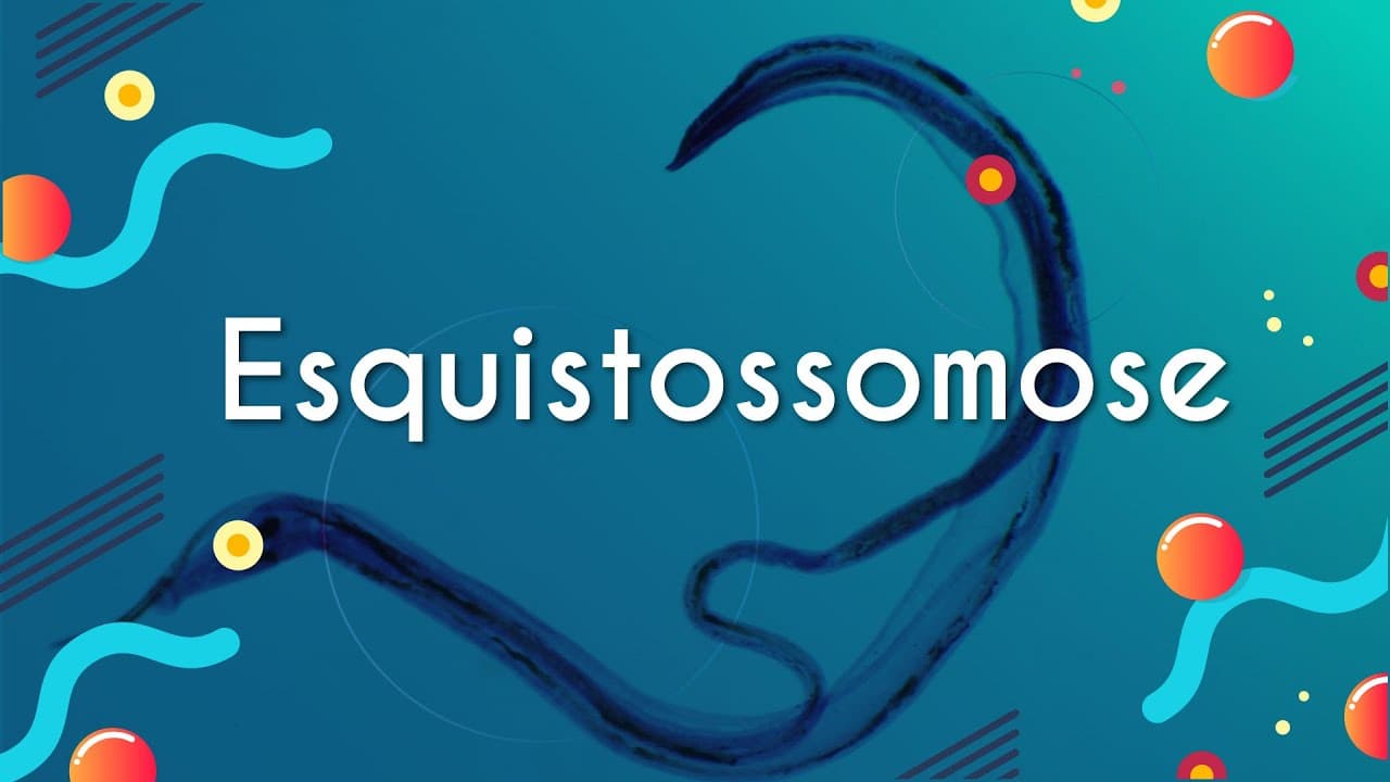 Thumbnail: Esquistossomose - Brasil Escola