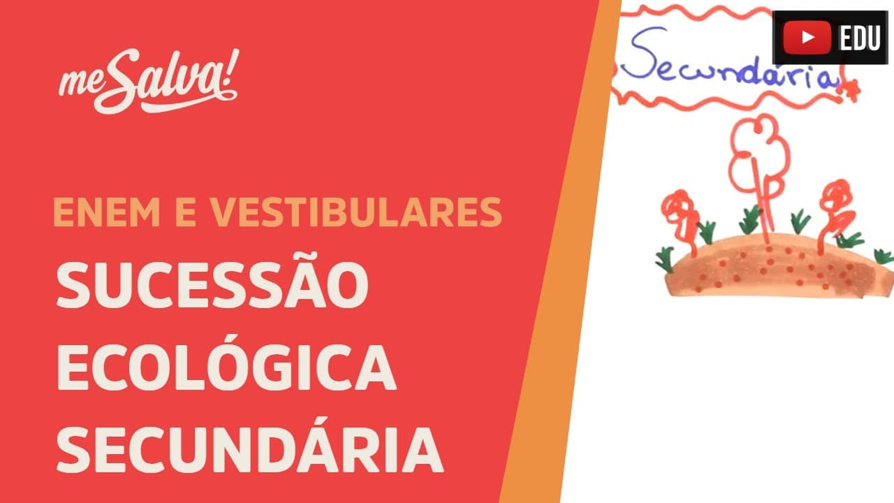 Thumbnail: Me Salva! ECO20 - Ecologia - Sucessão ecológica: secundária