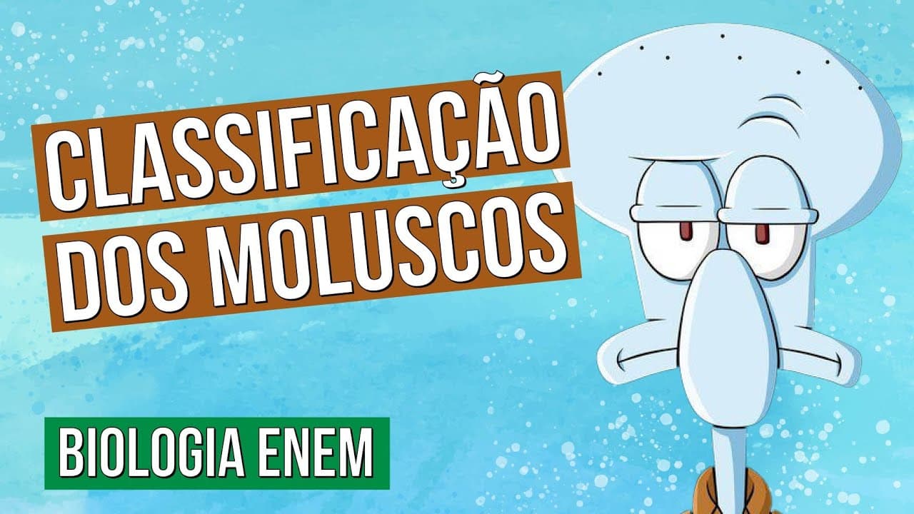 Thumbnail: CLASSIFICAÇÃO DOS MOLUSCOS | Biologia para o Enem | Cláudia de Souza Aguiar
