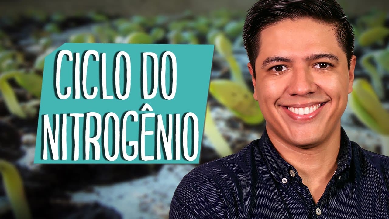 Thumbnail: CICLO DO NITROGÊNIO - CICLOS BIOGEOQUÍMICOS - ECOLOGIA - Prof. Kennedy Ramos