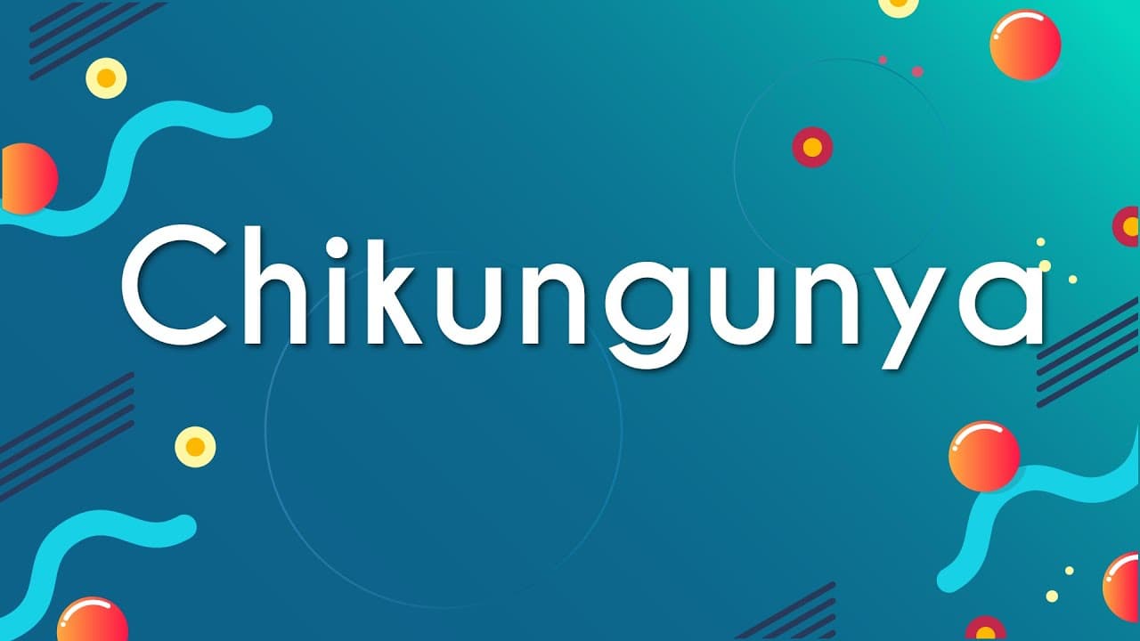 Thumbnail: Chikungunya - Brasil Escola