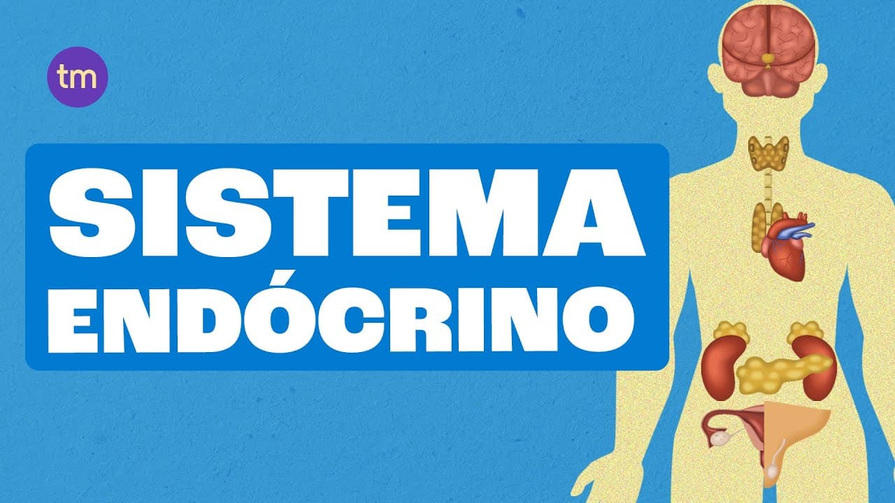 Thumbnail: SISTEMA ENDÓCRINO: O que são Glândulas e como elas funcionam
