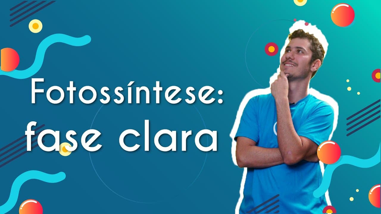 Thumbnail: Fotossíntese: fase clara  | Brasil Escola