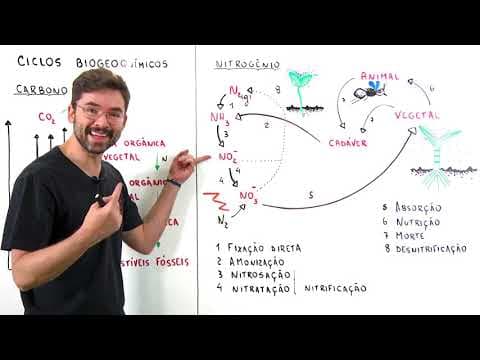 Thumbnail da aula: Ecologia - Ciclos Biogeoquimicos