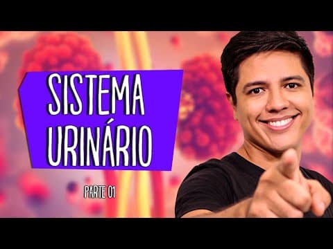 Thumbnail da aula: SISTEMA URINÁRIO OU EXCRETOR - ANATOMIA E FISIOLOGIA - Prof. Kennedy Ramos