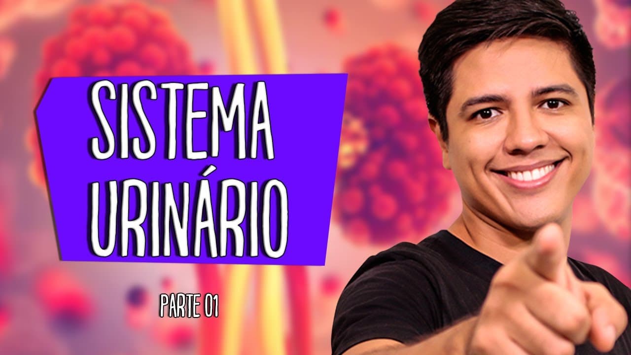 Thumbnail: SISTEMA URINÁRIO OU EXCRETOR - ANATOMIA E FISIOLOGIA - Prof. Kennedy Ramos