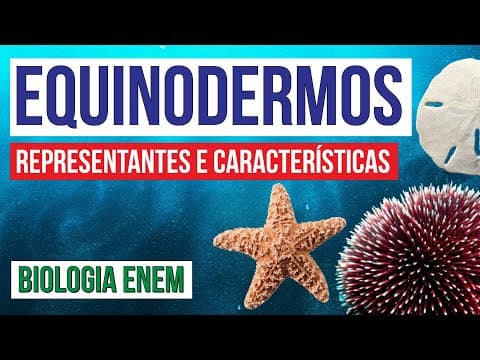 Thumbnail da aula: EQUINODERMOS: classificação dos animais do grupo | Biologia para o Enem | Cláudia de Souza Aguiar