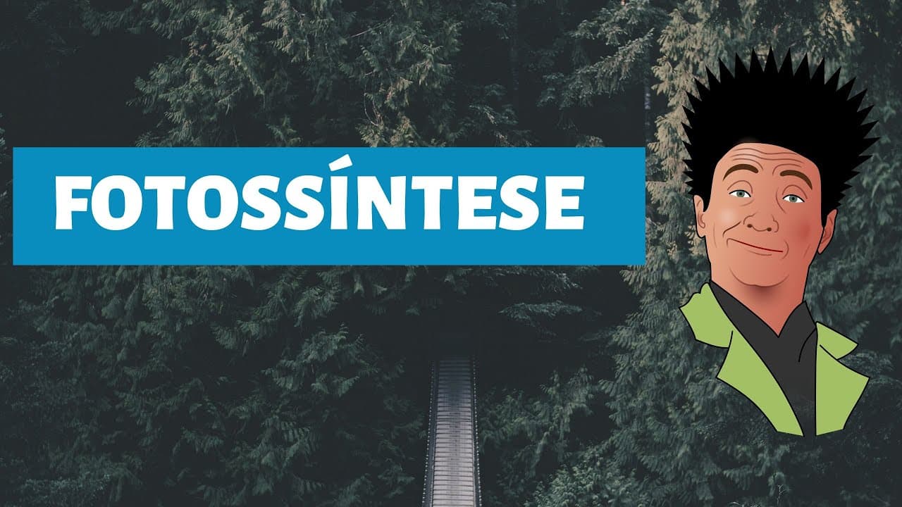 Thumbnail: Fotossíntese para o ENEM