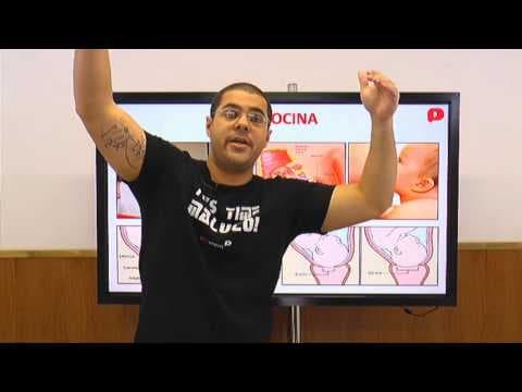 Thumbnail da aula: Biologia - O melhor de sistema endócrino