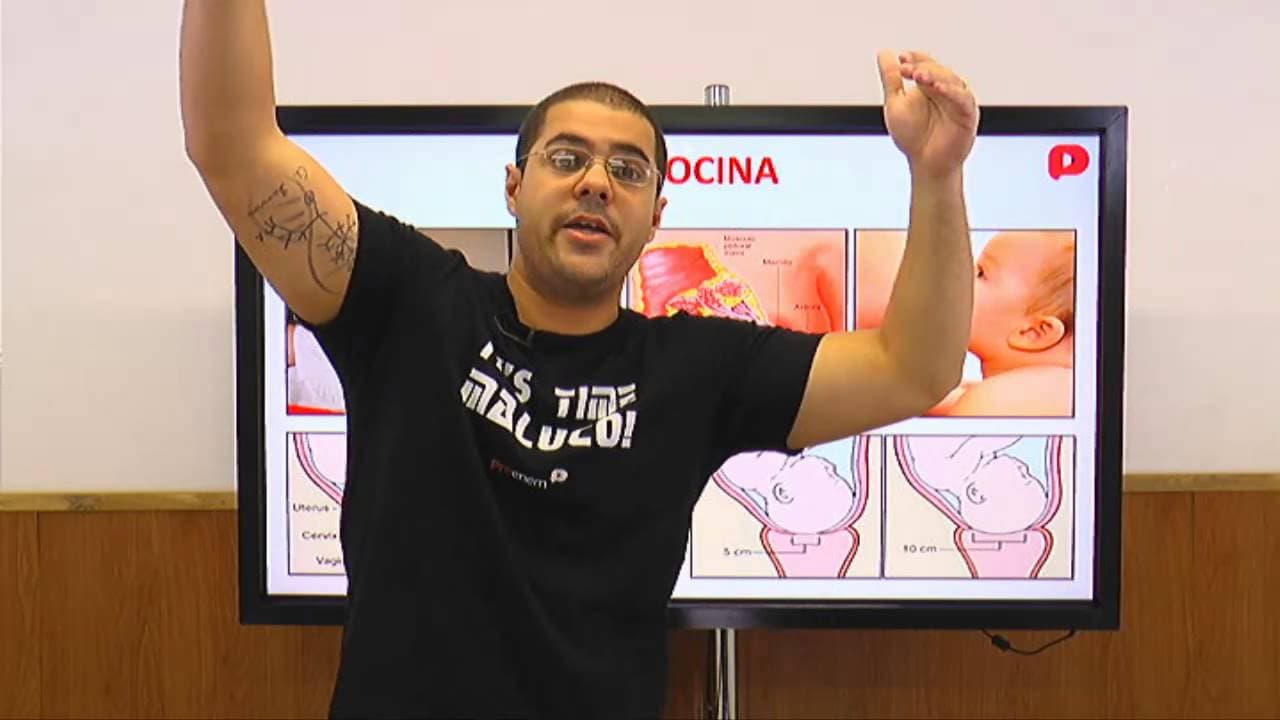 Thumbnail: Biologia - O melhor de sistema endócrino