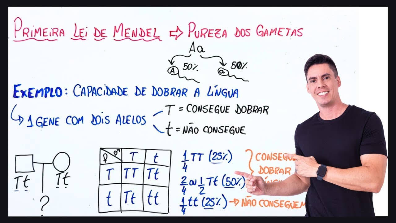 Thumbnail: Resumo Primeira Lei de Mendel