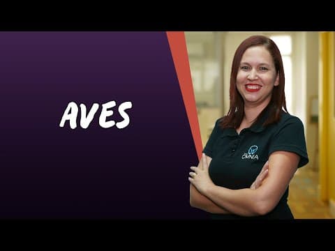 Thumbnail da aula: Aves - Brasil Escola