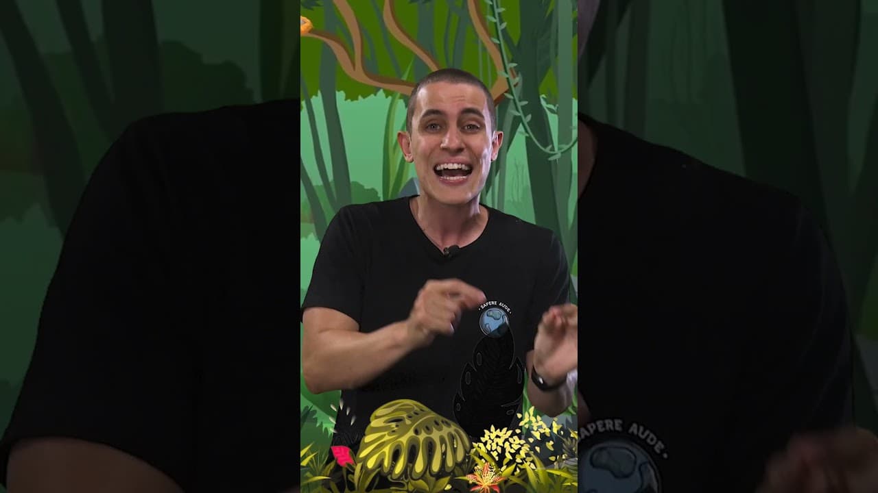 Thumbnail: Pq o KING KONG não existe? #shorts #matemática #enem