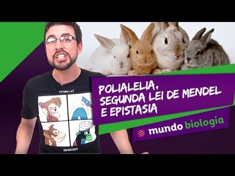 Thumbnail da aula: 🧬 Genética (4/8): Polialelia, 2ª Segunda Lei de Mendel e Epistasia - Biologia - ENEM