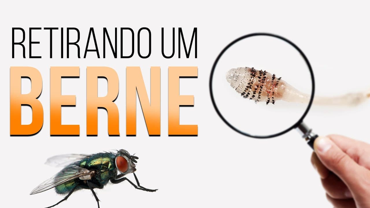 Thumbnail: Retirando um BERNE | Professor Guilherme
