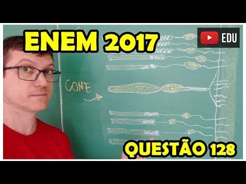 Thumbnail da aula: ENEM 2017 - FÍSICA - Prova AZUL - QUESTÃO 128 - Prof  Boaro - Questão dos CONES na retina do olho
