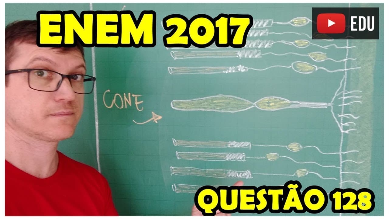Thumbnail: ENEM 2017 - FÍSICA - Prova AZUL - QUESTÃO 128 - Prof  Boaro - Questão dos CONES na retina do olho