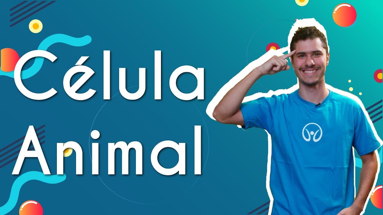 Thumbnail: Célula Animal - Brasil Escola
