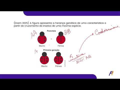 Thumbnail da aula: ENEM 2025 | A figura apresenta a herança genética de uma característica a partir...